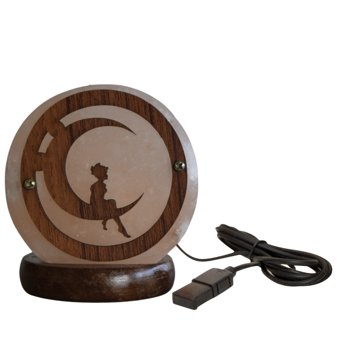 Saltbay Lampada di sale dell'Himalaya Cubo Mini USB, luce notturna rilassante, purificatore dell'aria, riduce lo stress e l'insonnia, per il relax e il benessere Saltbay Lampada di sale dell'Himalaya Cubo Mini USB, luce notturna rilassante, purificatore dell'aria, riduce lo stress e l'insonnia, per il relax e il benessere